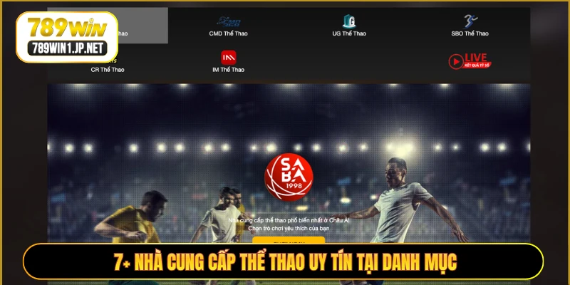 7+ nhà cung cấp thể thao uy tín tại danh mục