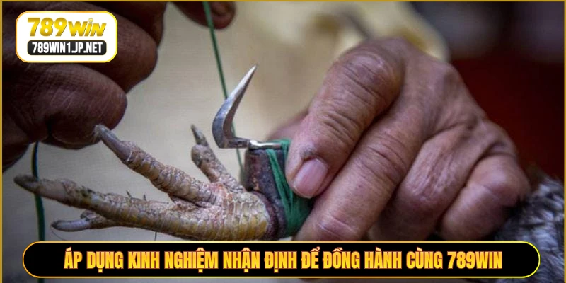 Áp dụng kinh nghiệm nhận định để đồng hành cùng 789WIN