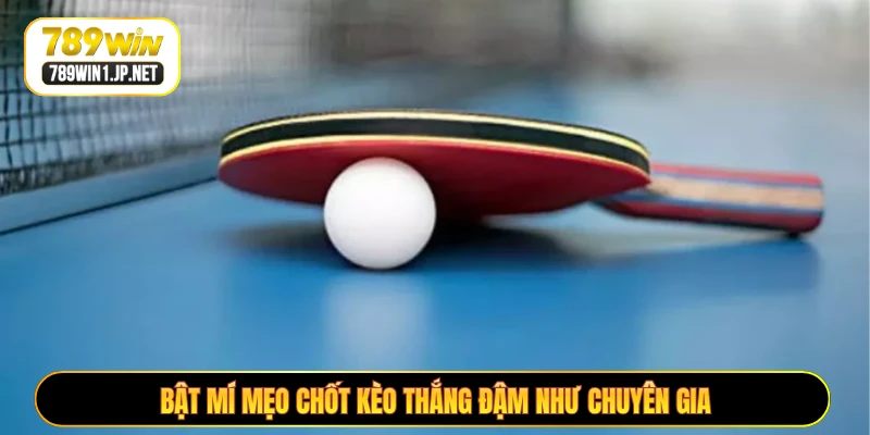 Bật mí mẹo chốt kèo thắng đậm như chuyên gia