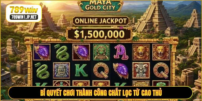 Bí quyết chơi thành công chắt lọc từ cao thủ