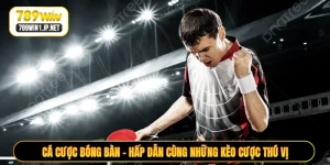 Cá Cược Bóng Bàn - Hấp Dẫn Cùng Những Kèo Cược Thú Vị
