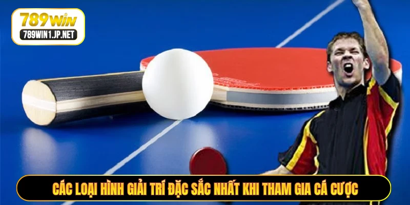 Các loại hình giải trí đặc sắc nhất khi tham gia cá cược