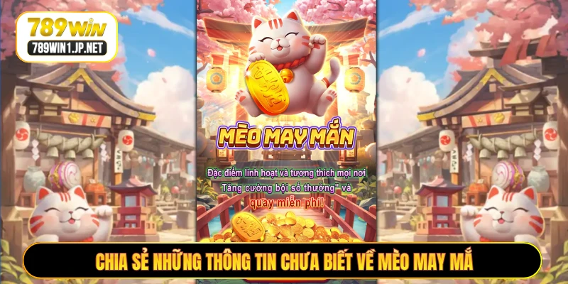 Chia sẻ những thông tin chưa biết về Mèo May Mắn