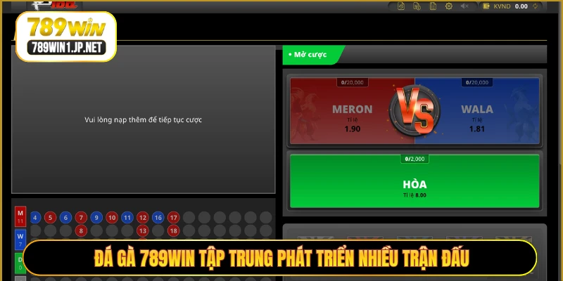 Đá gà 789WIN tập trung phát triển nhiều trận đấu