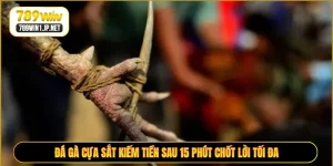 Đá Gà Cựa Sắt Kiếm Tiền Sau 15 Phút Chốt Lời Tối Đa
