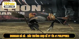 Digmaan Đá Gà - Đấu Trường Chọi Kê Uy Tín #1 Philippines