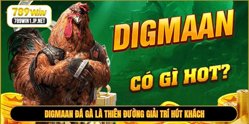 Digmaan đá gà là thiên đường giải trí hút khách