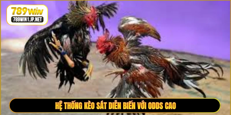 Hệ thống kèo sát diễn biến với odds cao