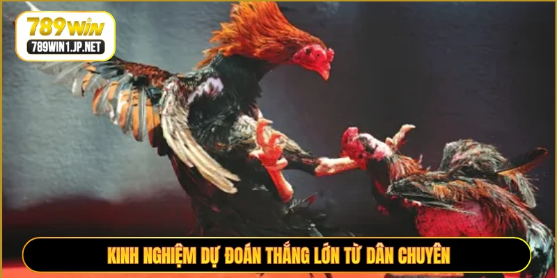 Kinh nghiệm dự đoán thắng lớn từ dân chuyên