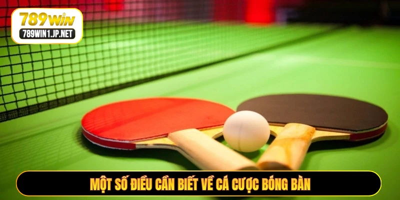 Một số điều cần biết về cá cược bóng bàn