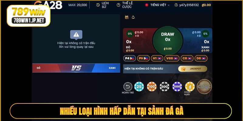 Nhiều loại hình hấp dẫn tại sảnh đá gà