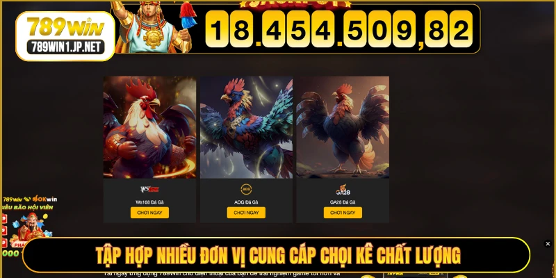 Tập hợp nhiều đơn vị cung cáp chọi kê chất lượng