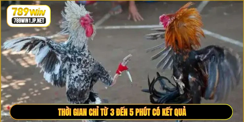 Thời gian chỉ từ 3 đến 5 phút có kết quả