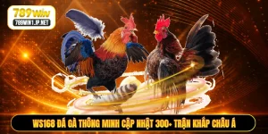 WS168 Đá Gà Thông Minh Cập Nhật 300+ Trận Khắp Châu Á