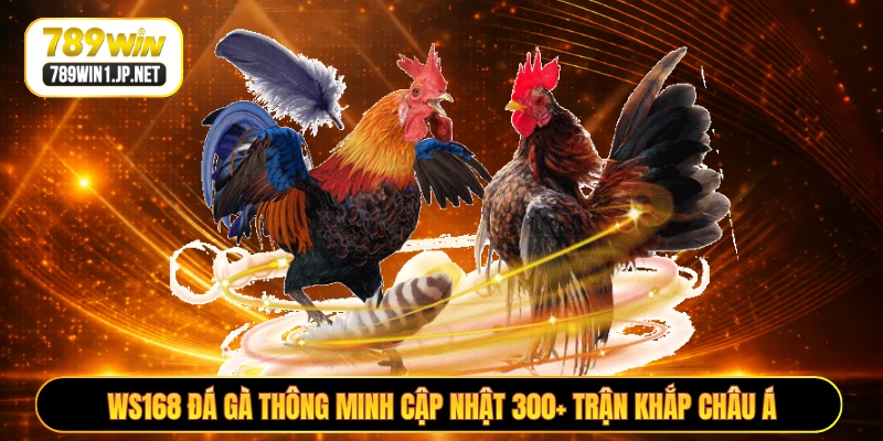 WS168 Đá Gà Thông Minh Cập Nhật 300+ Trận Khắp Châu Á