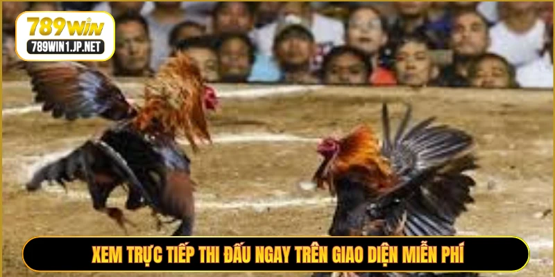 Xem trực tiếp thi đấu ngay trên giao diện miễn phí